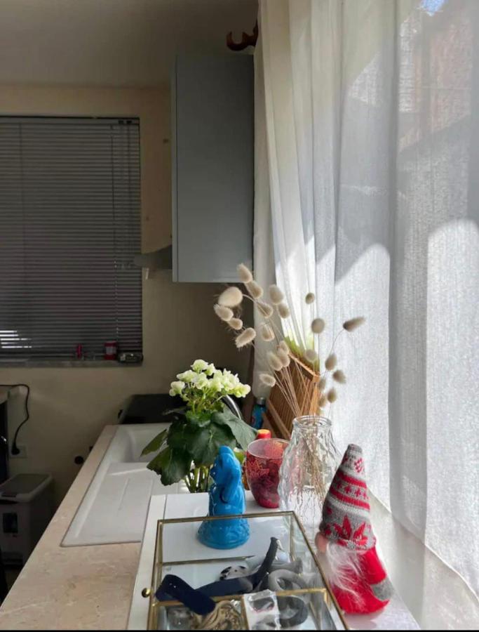 Brilant Studio Apartment City Center Тирана Екстер'єр фото